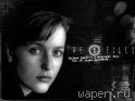 Обои для рабочего стола: X-files